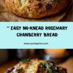 No-Knead Rosemary Cranberry Bread with Olive Oil & Sea Salt Recipe
