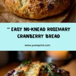 No-Knead Rosemary Cranberry Bread with Olive Oil & Sea Salt Recipe