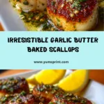 Garlic Butter Baked Scallops Recipe
