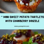 artlets with Cranberry Pistachio Drizzle Recipe