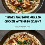 Honey Balsamic Grilled Chicken with Orzo Salad Recipe