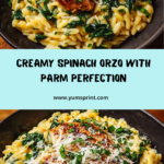 Creamy Spinach Orzo with Parmesan Recipe