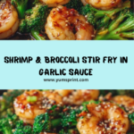 Shrimp & Broccoli Stir Fry in Garlic Sauce Recipe