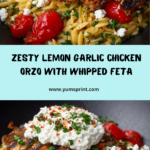 Lemon Garlic Chicken Orzo with Creamy Whipped Feta Recipe
