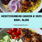 Mediterranean Chicken & Orzo Bowl with Cranberries Recipe