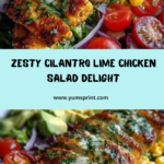 Cilantro Lime Chicken Salad Recipe