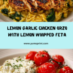 Lemon Garlic Chicken Orzo with Lemon Whipped Feta Recipe