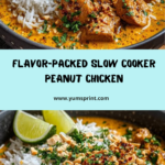 Slow Cooker Peanut Chicken Recipe