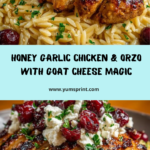Goat Cheese Sauce & Roasted Cranberries Recipe