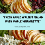 Apple Walnut Salad with Maple Dijon Vinaigrette Recipe