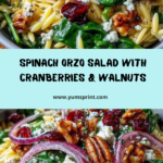 Spinach and Orzo Salad with Cranberries and Walnuts Recipe