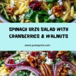 Spinach and Orzo Salad with Cranberries and Walnuts Recipe