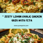 Lemon Garlic Chicken Orzo with Garlic Whipped Feta Recipe