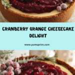 Cranberry Orange Cheesecake Recipe