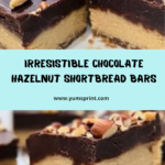 Chocolate Hazelnut Shortbread Bars Recipe