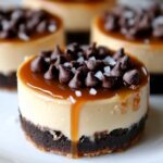 Irresistible Salted Caramel Chocolate Chip Cheesecakes Recipe