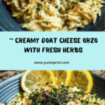 Creamy Goat Cheese Orzo with Lemon & Herbs Recipe