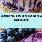Blueberry Dream Cheesecake Recipe